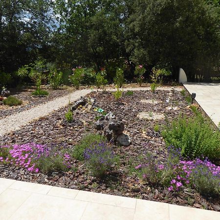 Villa En Provence Verte Carcès المظهر الخارجي الصورة